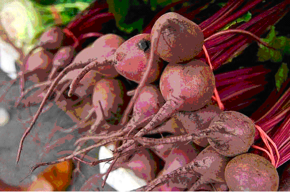 Beets